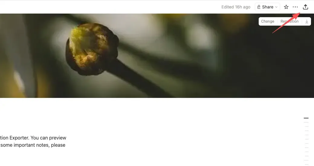 click the icon to open notion exporter sidebar
