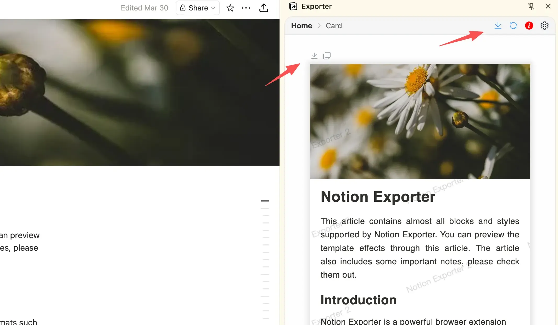 preview the final export result and download