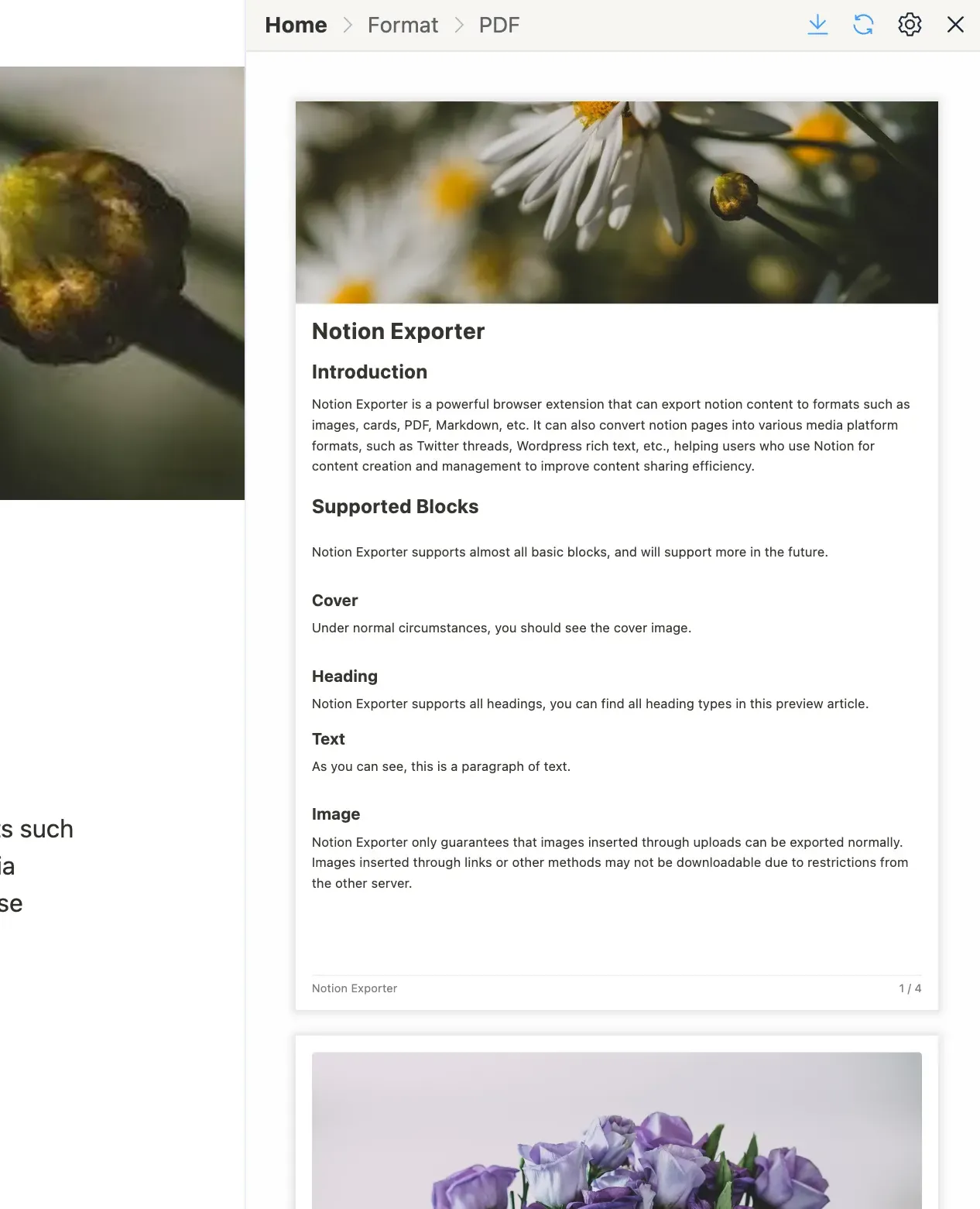 PDF Preview Interface