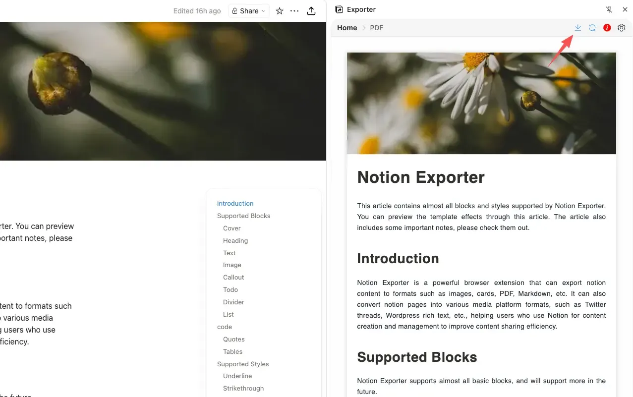 preview the final export result and download