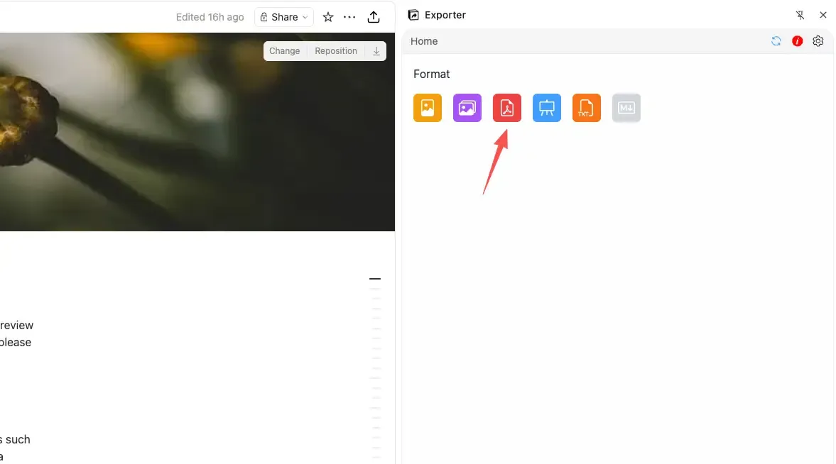 select pdf format to enter preview page