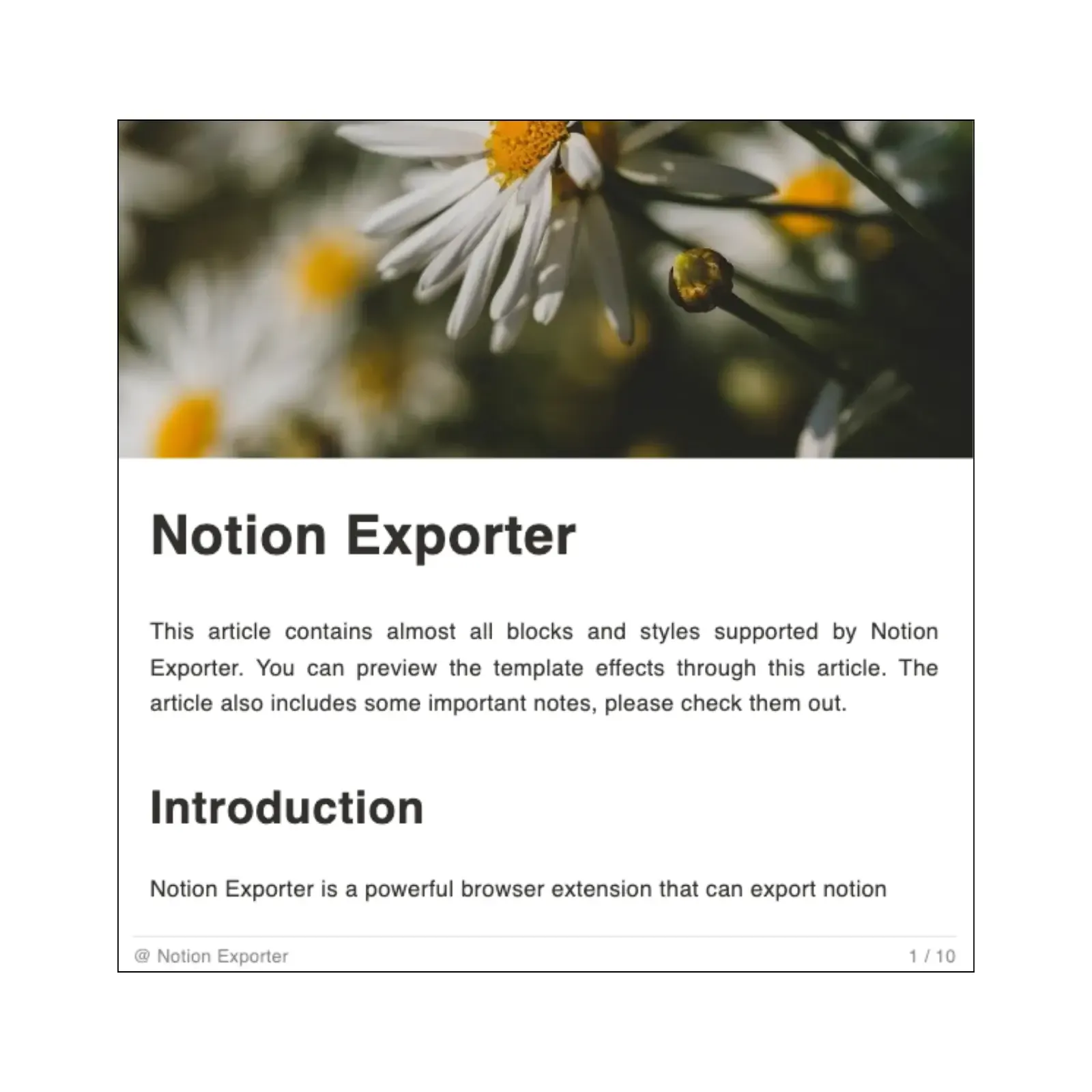 showcase of notion to pdf custom size feature